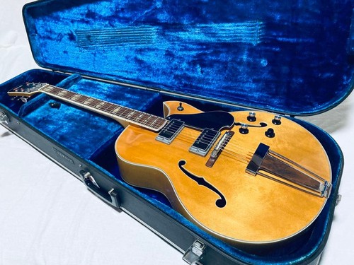 Yamaha electric guitar - yamaha, ae-11
